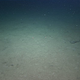 Image for article titled Should We Be Exploring The Oceans Instead Of Space?